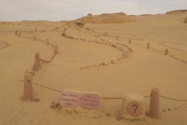 Two day trip to fayoum oasis and wadi el Hitan from Cairo