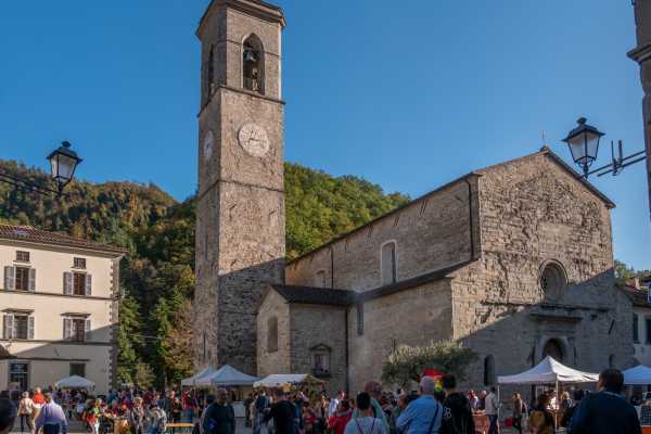 Proposta Arte & Cultura in Valle Savio