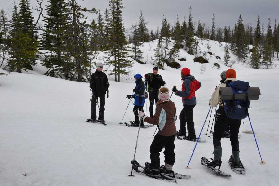 Explorative AS Snowshoe hike in Skjækerfjella