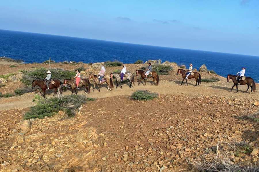 Rancho Loco Aruba Amazing Natural Pool Tour Private