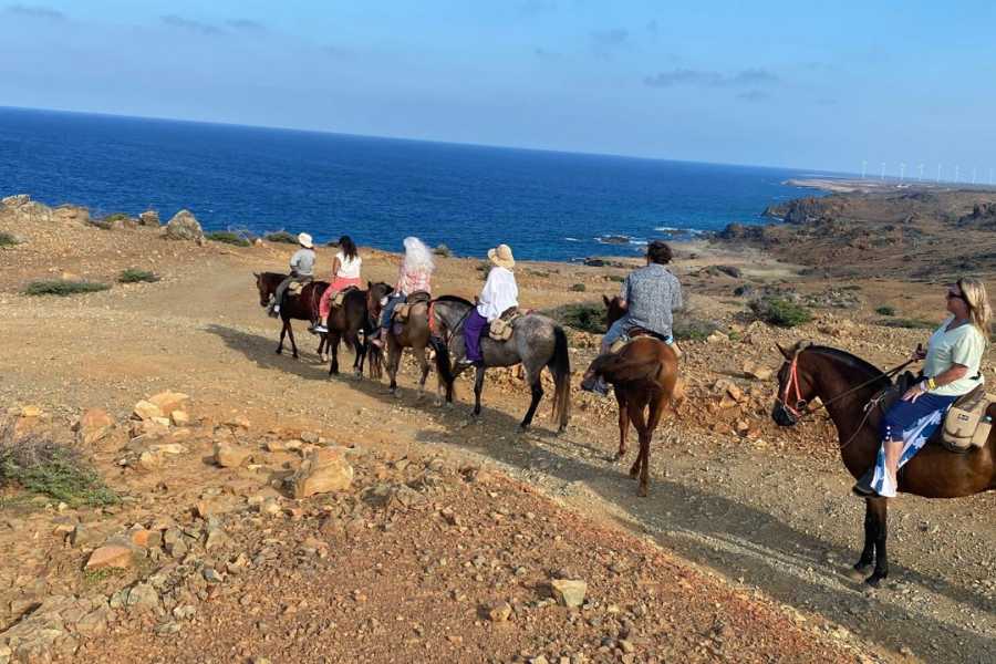 Rancho Loco Aruba Amazing Natural Pool Tour Private
