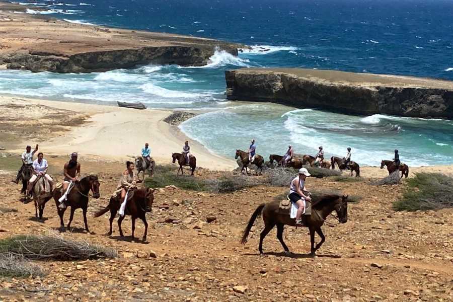 Rancho Loco Aruba Amazing Natural Pool Tour Private
