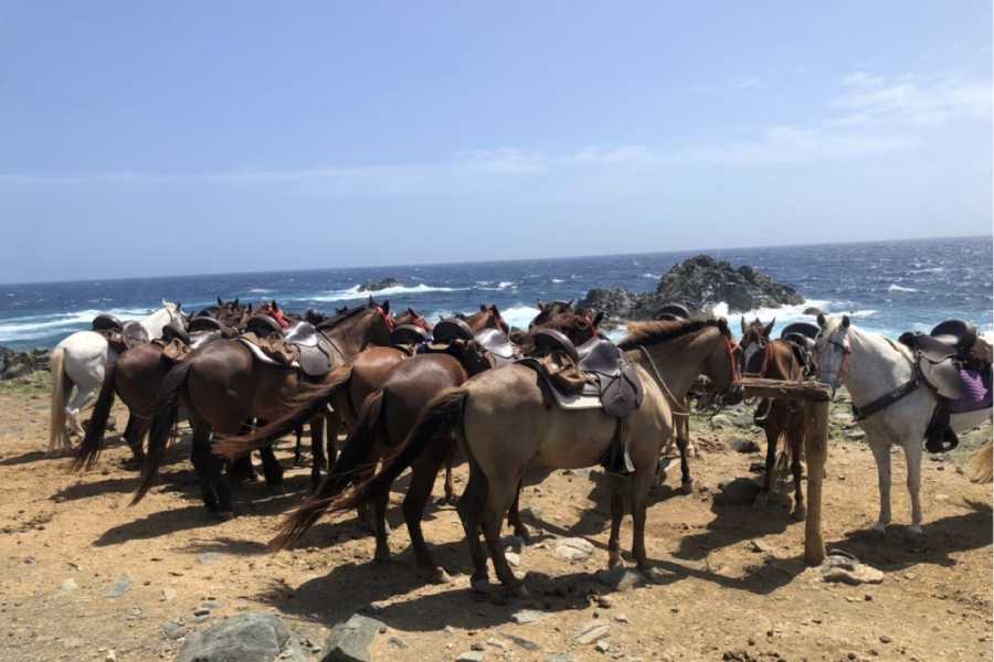 Rancho Loco Aruba Amazing Natural Pool Tour Private