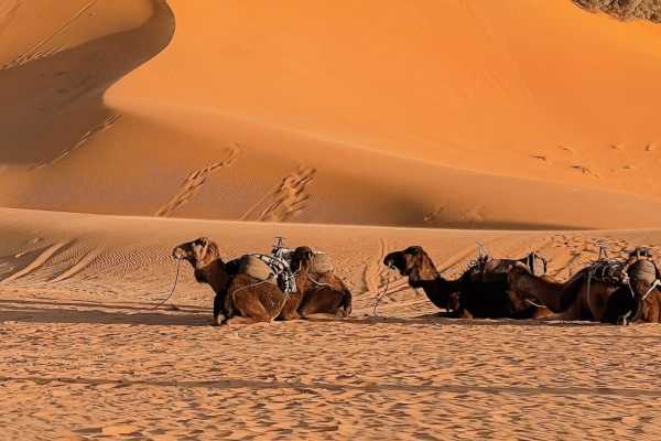 Morocco Sahara Desert Weekend
