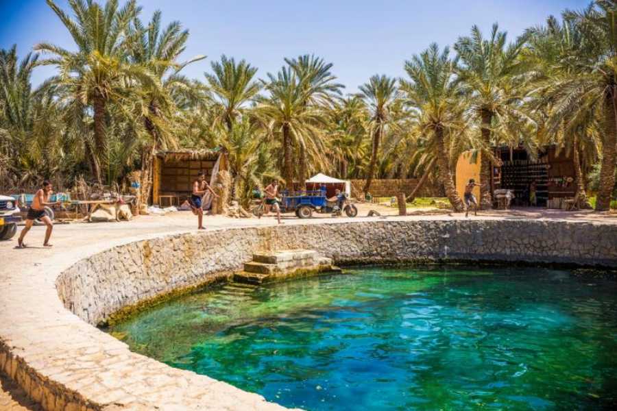 Marsa alam tours 8 Day Cairo ,  Alexandria ,Siwa and white desert