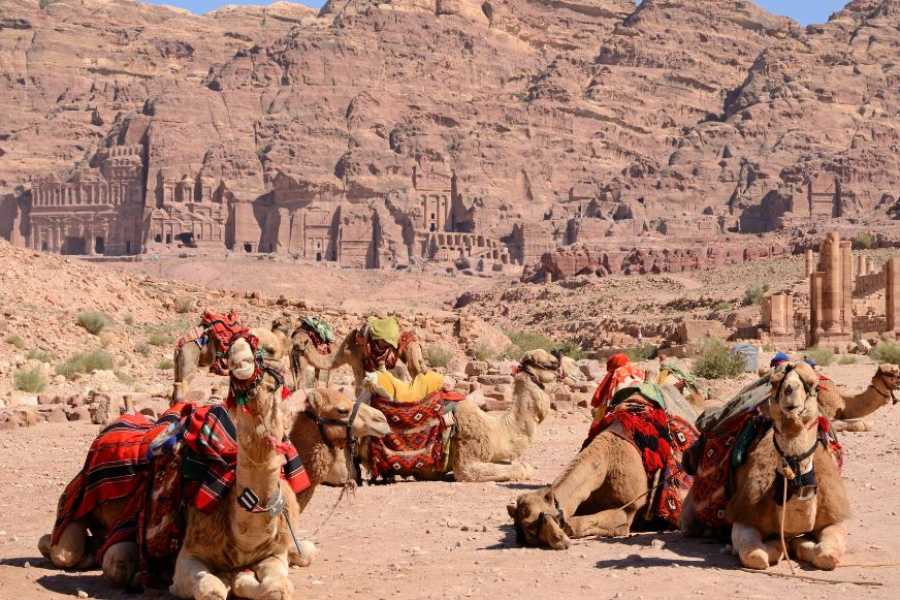 Egypt Tour packages 3 dages tur til Jordan og Petra fra Kairo