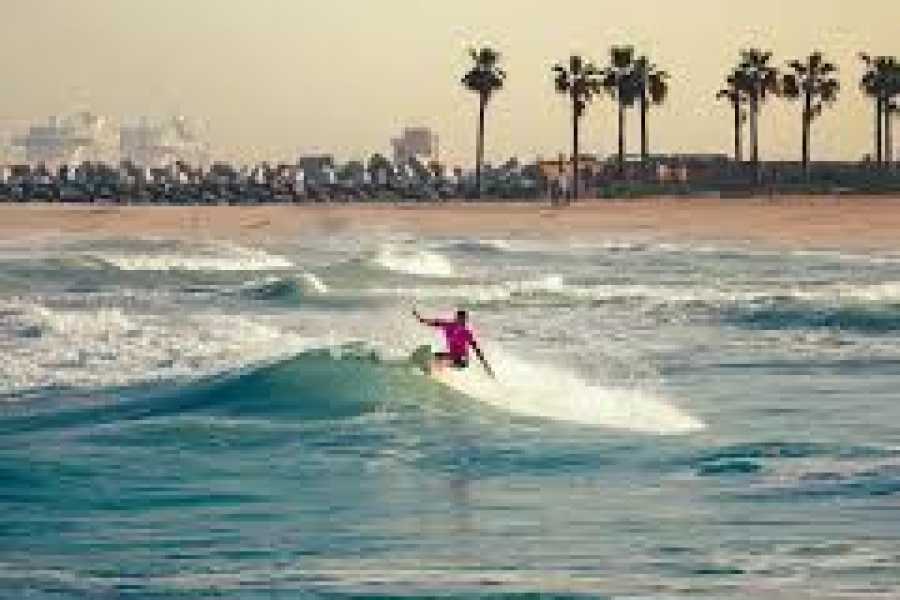 Daily tours Egypt Surf High Experience In Dubai