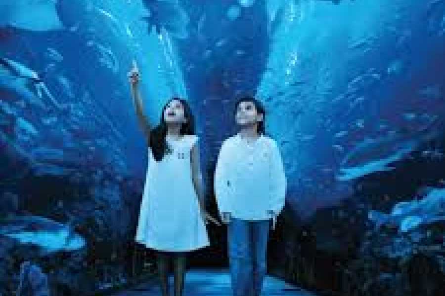Daily tours Egypt Lost Chambers Aquarium Tickets