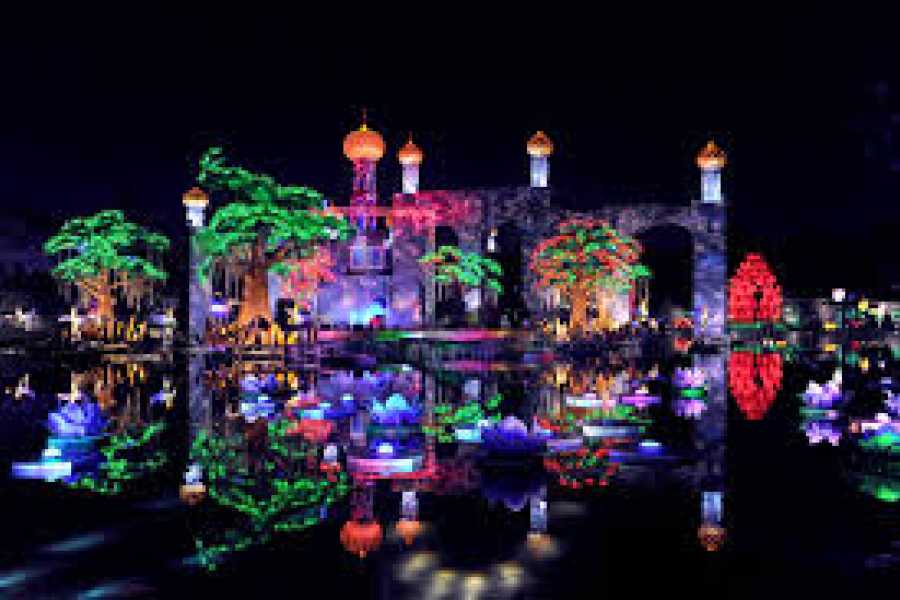 Daily tours Egypt Glow Garden