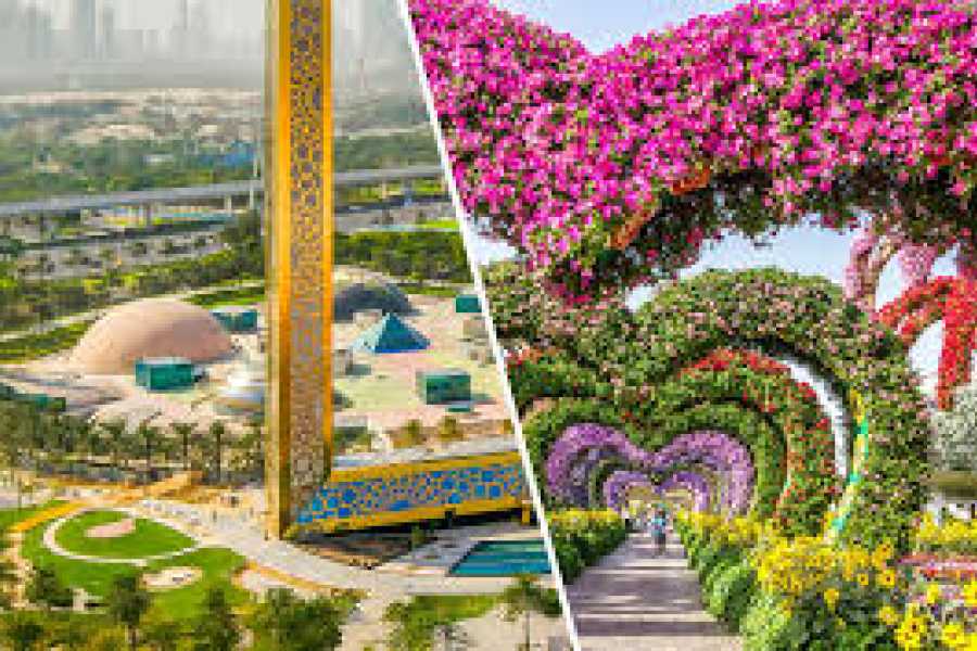Daily tours Egypt Dubai Frame