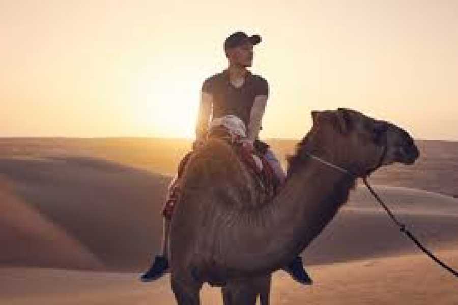 Daily tours Egypt Dune & Dine Ras Al Khaimah Desert Safari
