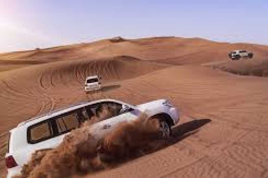Daily tours Egypt Abu Dhabi Evening Desert Safari