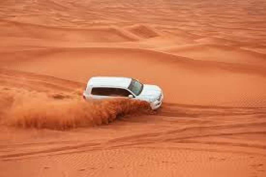 Daily tours Egypt Relax At The Inland Sea