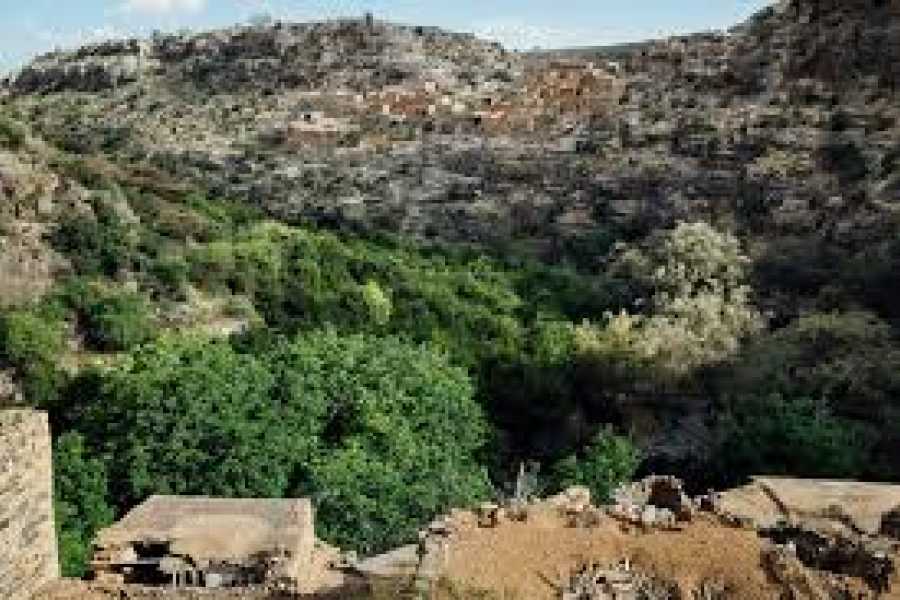 Daily tours Egypt Ghost Village Of Wadi Bani Habib