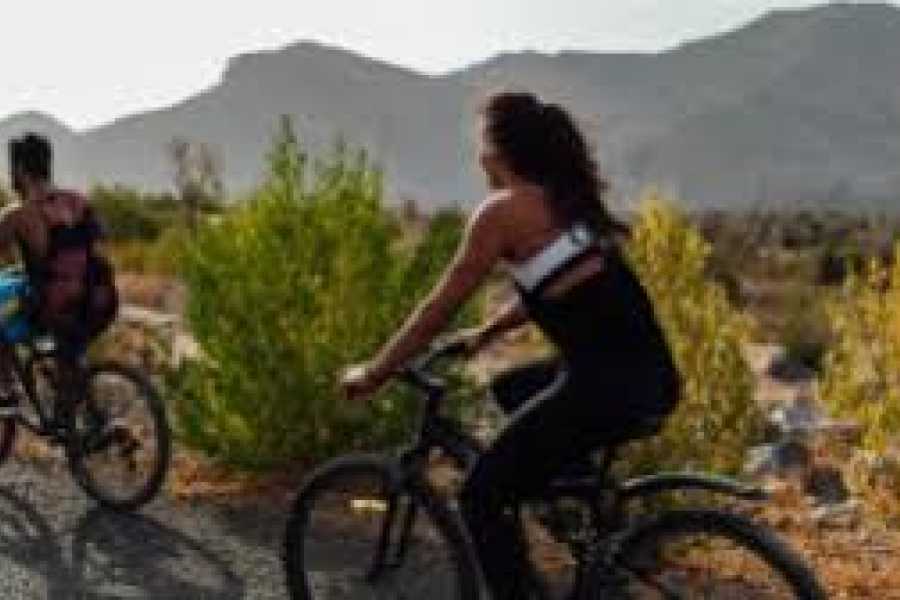 Daily tours Egypt Mountain Biking Adventure At Jabal Akhdar