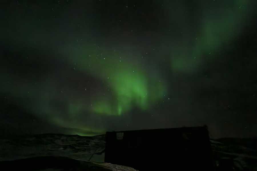 Diskobay Tours Nordlys Tur, gående
