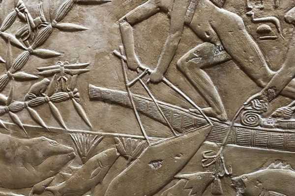Tour to Giza Pyramids and Saqqara from Cairo