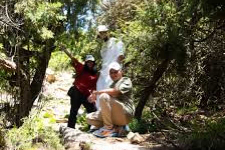 Daily tours Egypt Gaithan Hike – Soudah Ranges