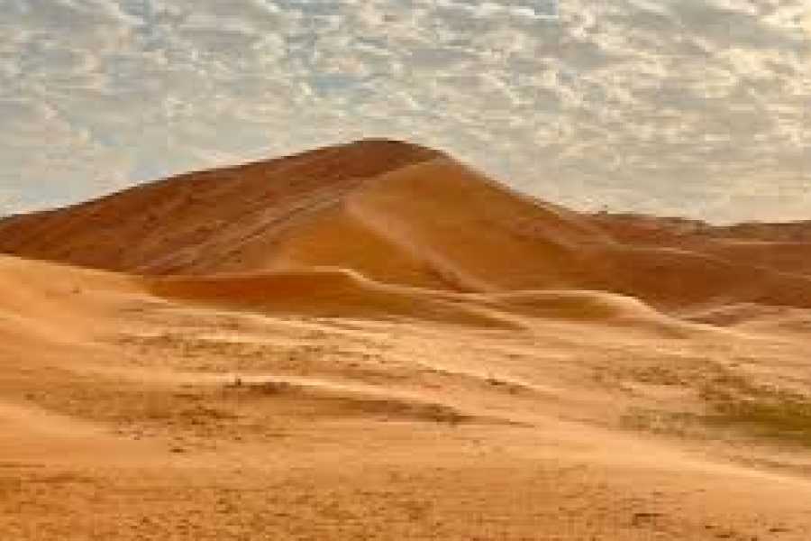 Daily tours Egypt Imam Abdulaziz bin Muhammad Royal Reserve tour
