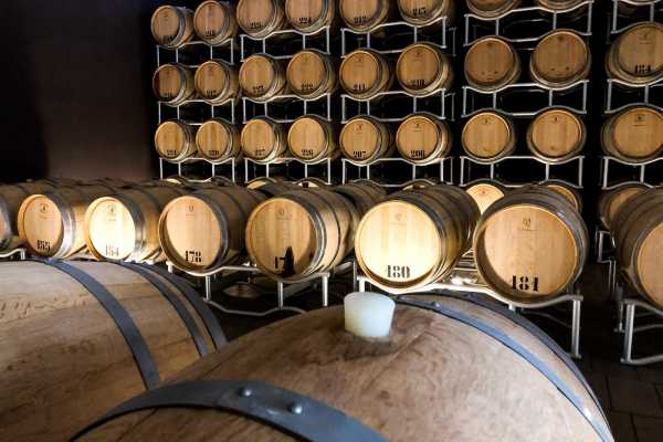 Campodelsole &ndash; Visita in cantina e degustazione tra i vigneti di Bertinoro