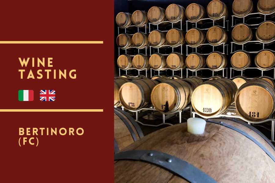 Ravenna Incoming (ERW) Campodelsole &ndash; Winery Tour and Tasting among the vineyards of Bertinoro