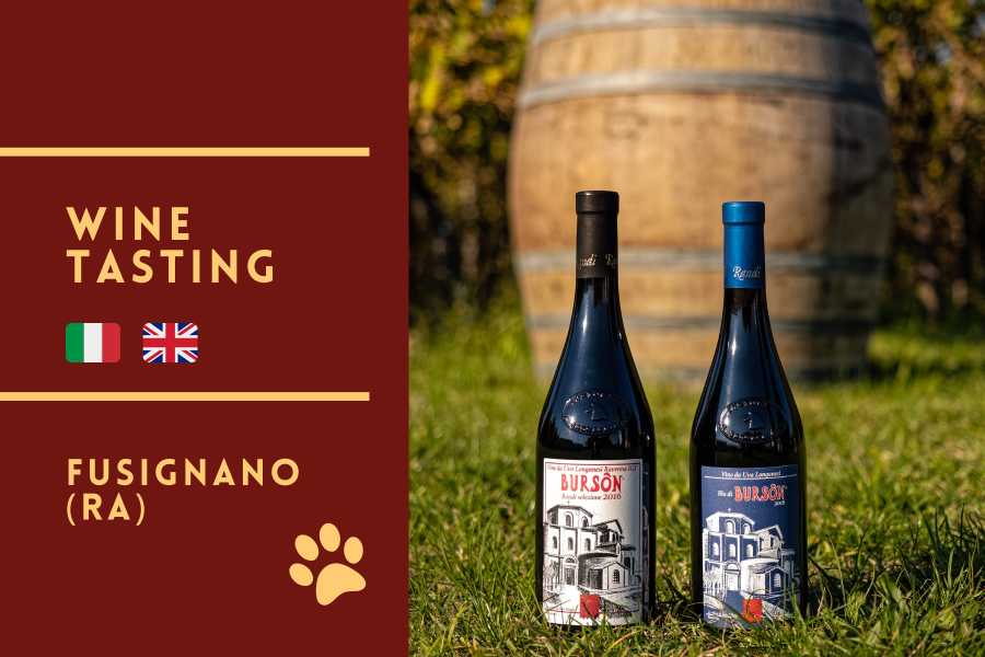 Ravenna Incoming (ERW) Randi Weine &ndash; Weingutbesichtigung und Verkostung unter den autochthonen Rebsorten von Fusignano