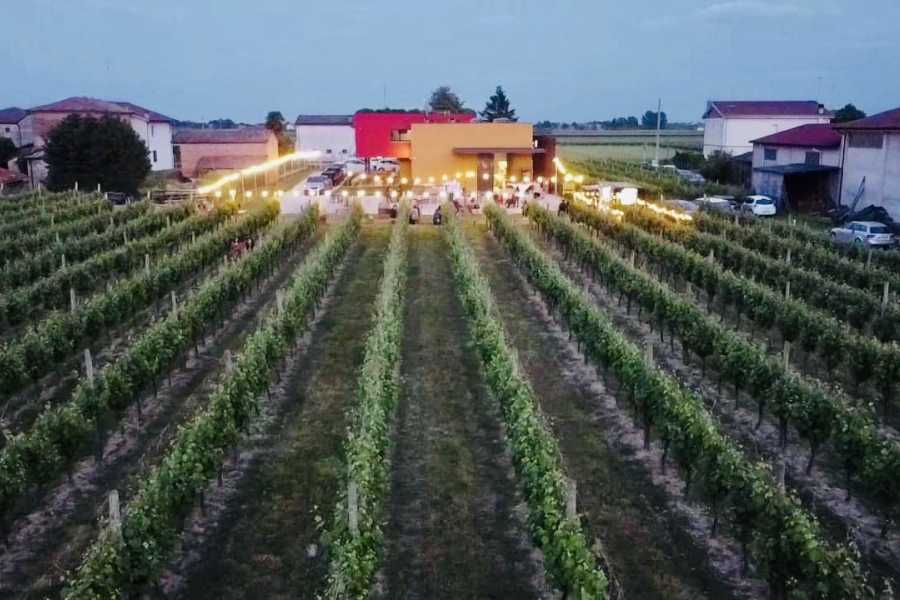 Ravenna Incoming Randi Vins – Visite de la cave et dégustation parmi les cépages autochtones de Fusignano