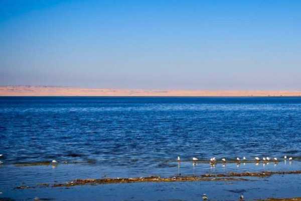 Day Tour to Fayoum from Cairo