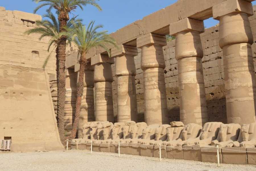 Egypt Tour packages 10 Day Egypt Itinerary with Nile cruise with white desert