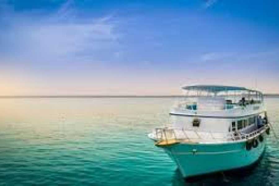 Daily tours Egypt Red Sea Day Trip