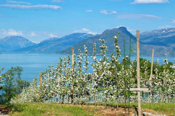 Eidfjord &ndash; Private Excursion &ndash; From Fjords to Vikings