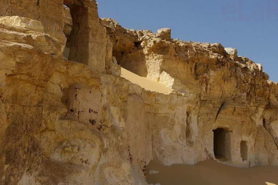 Egypt Tour packages 2 Day trip to Wadi El Hitan and Fayoum Pyramids from Cairo