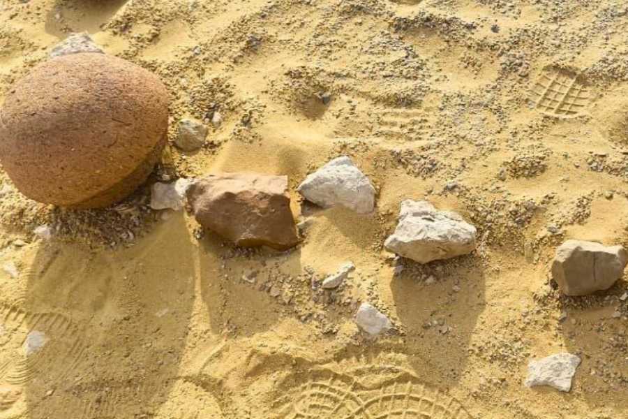 Egypt Tour packages 2 Day trip to Wadi El Hitan and Fayoum Pyramids from Cairo