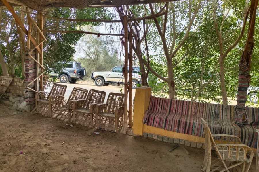 Egypt Tour packages 2 Day trip to Wadi El Hitan and Fayoum Pyramids from Cairo