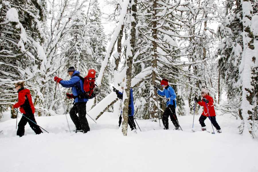 Explorative AS Snow-shoeing in the Skj&aelig;kra Mountains