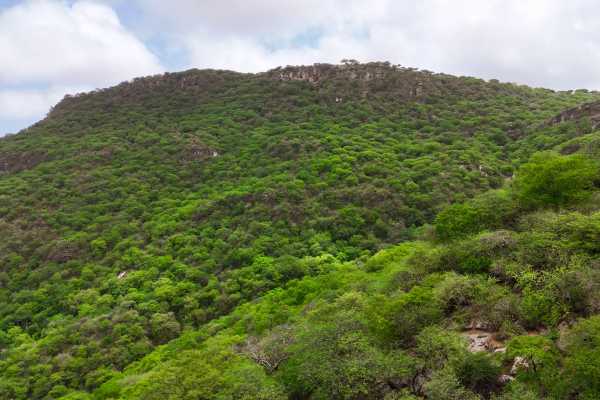 Salalah Khareef