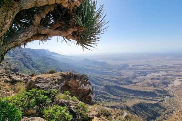 Salalah Khareef