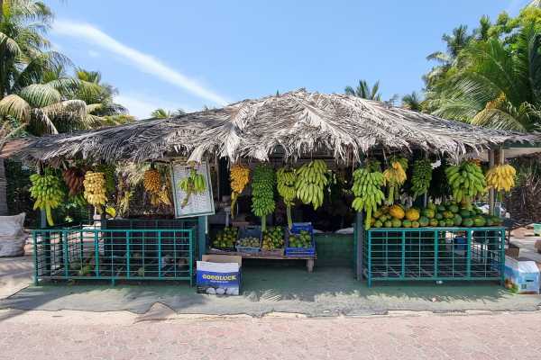 Salalah Khareef