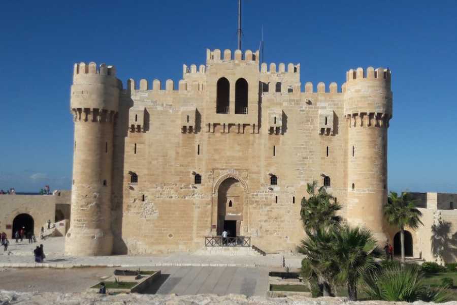 Egypt Tour packages 2-dages tur til Alexandria og El Alamein fra Kairo