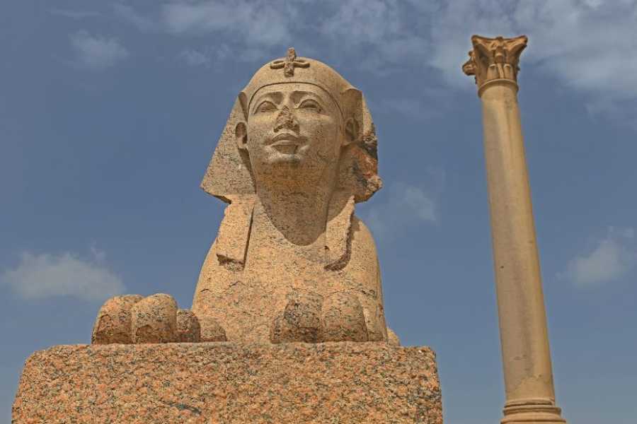 Egypt Tour packages 2-dages tur til Alexandria og El Alamein fra Kairo