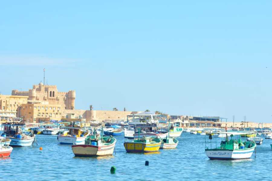 Egypt Tour packages 2-dages tur til Alexandria og El Alamein fra Kairo