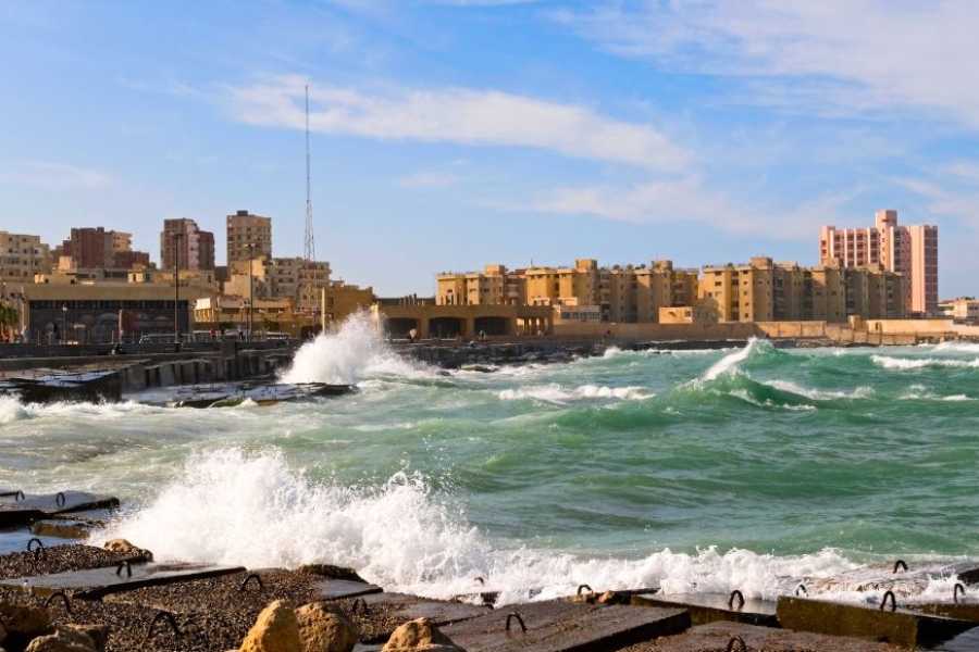 Egypt Tour packages 2-dages tur til Alexandria og El Alamein fra Kairo