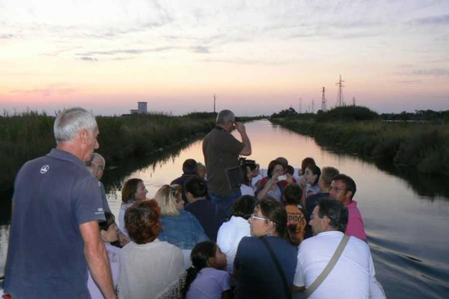 Discover Cervia (ERW) die ersten Lichter der Salzpfanne mit dem Boot