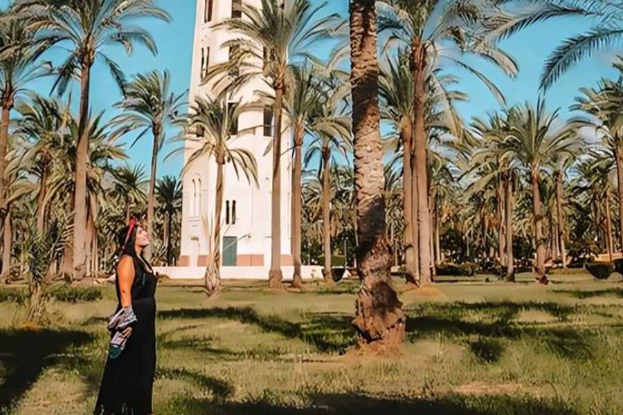 Egypt Tour packages Trip to Alexanderia tour from Cairo