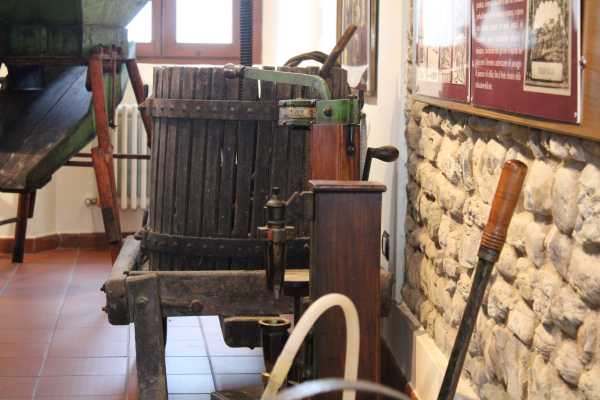 Wine trekking tra le colline bolognesi - speciale Bologna Wine Week