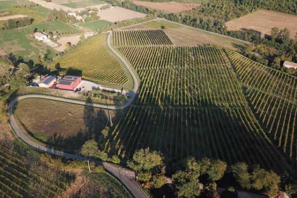 Wine trekking tra le colline bolognesi - speciale Bologna Wine Week