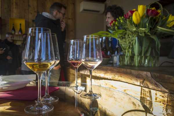 Wine trekking tra le colline bolognesi - speciale Bologna Wine Week