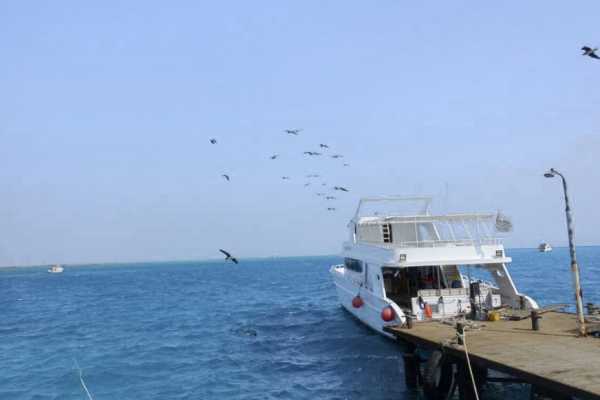 13 Days Egypt Vacation Package Cairo Nile cruise and Marsa Alam