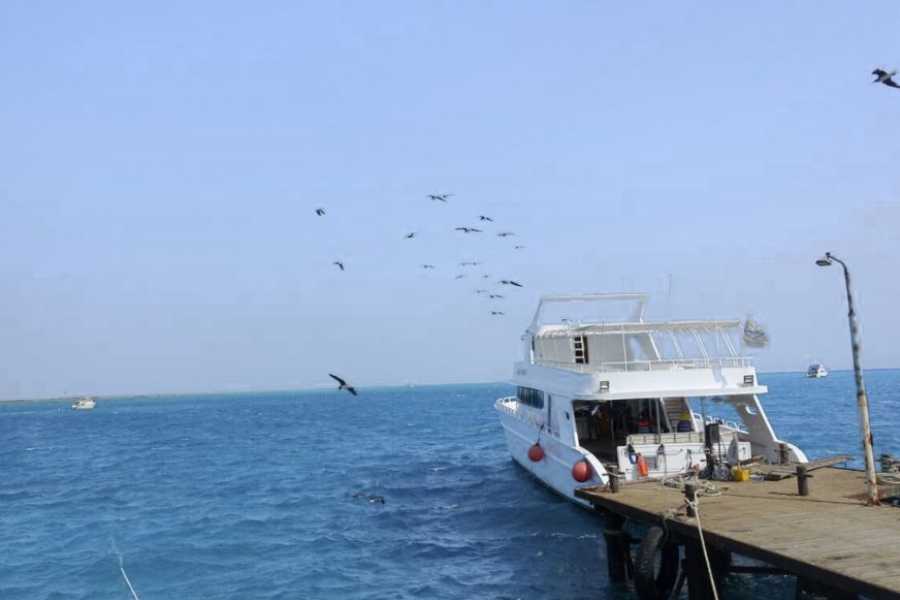Egypt Tour packages 13 Days Egypt Vacation Package Cairo Nile cruise and Marsa Alam
