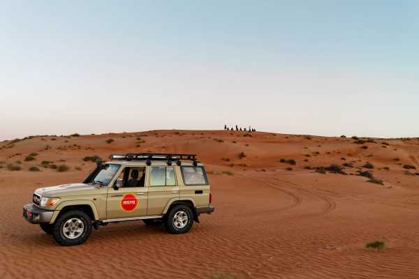 Dolphins, Wadi & Desert